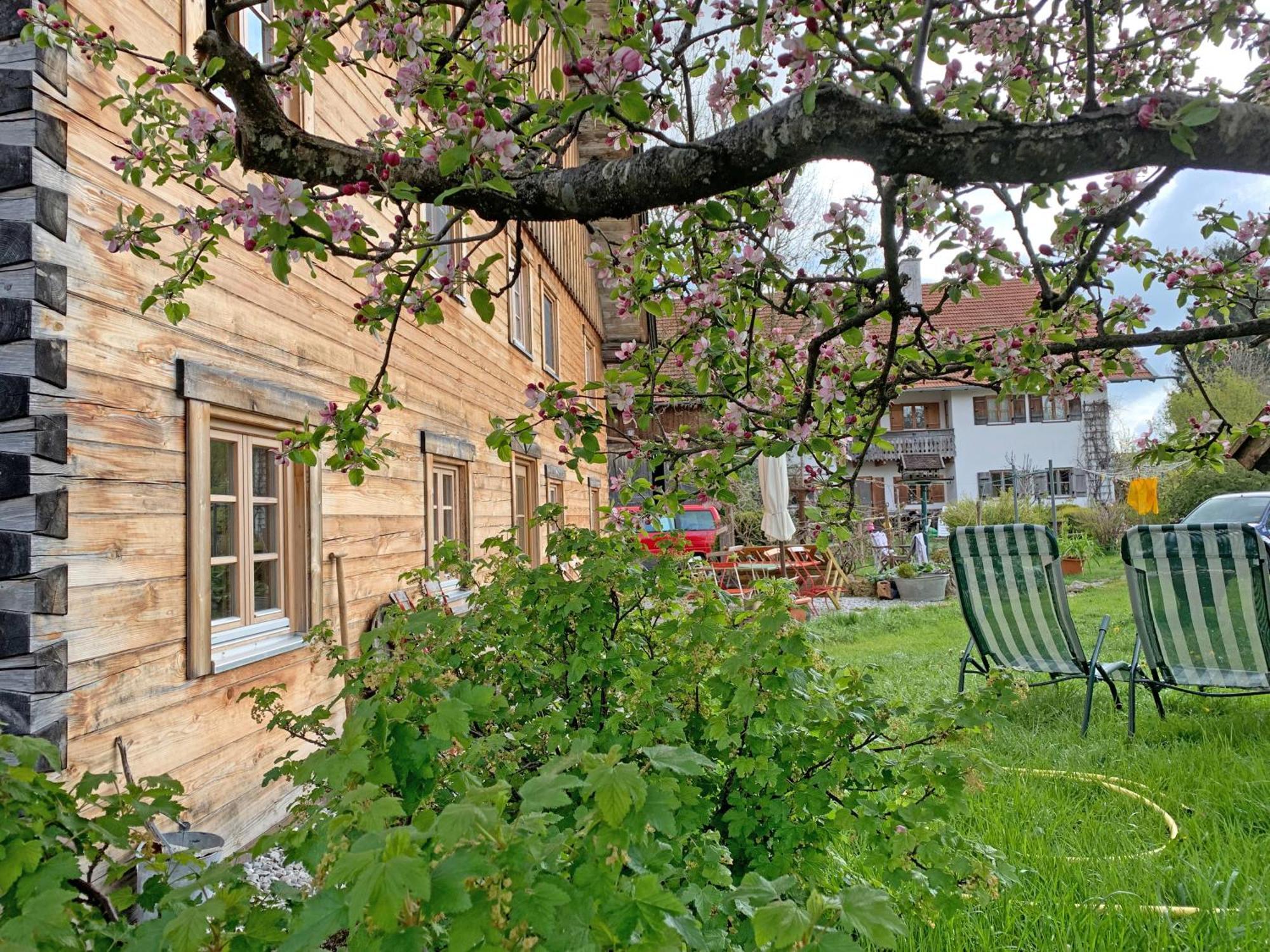 Biohof Neihausmo Apartment Böbing Екстериор снимка